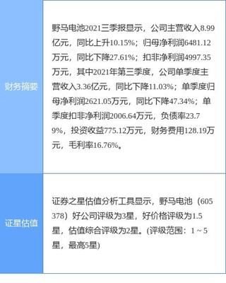 野马电池受疫情影响临时停产 轻工业品出口再陷波动，行业复苏面临挑战